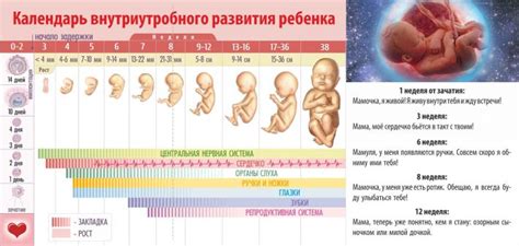 Статистика ранних родов у девочек и причины такого явления