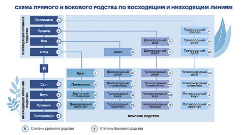 Степень родства и принципы родственных связей