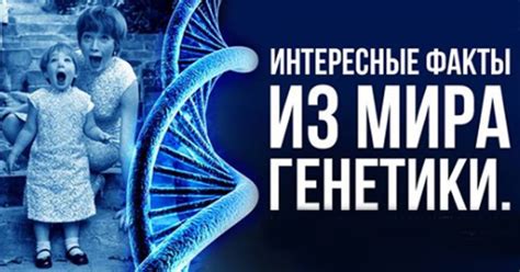 Странности генетики удивительного котачьего мира