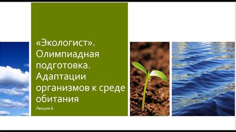 Стратегии поведения для успешной адаптации к окружающей среде