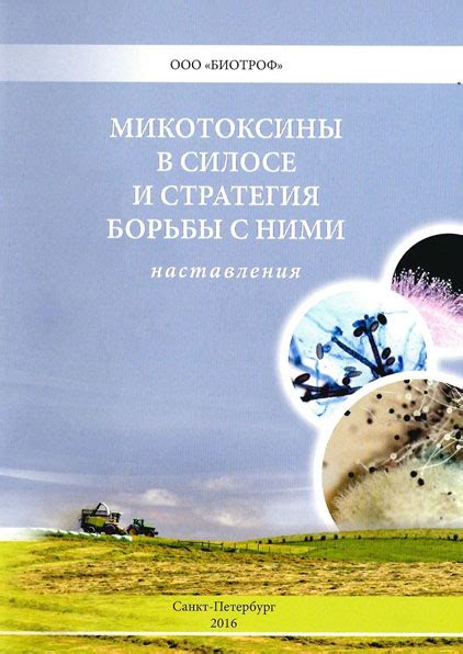 Стратегия борьбы с пустоцветом: варианты и рекомендации