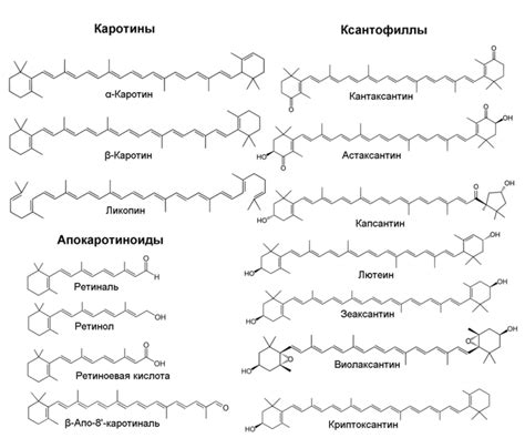 Строение каротиноидов