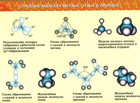 Строение молекул и их функции