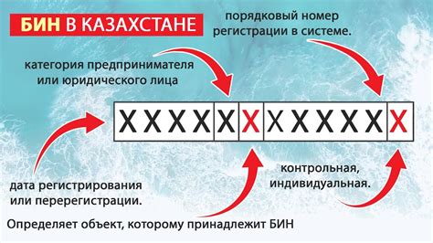 Структура БИН в Казахстане