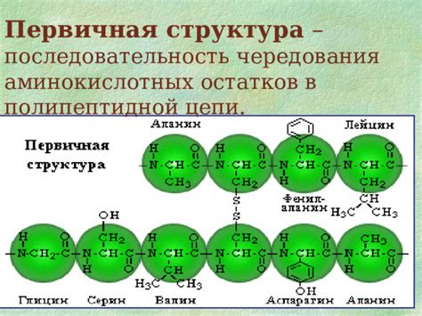 Структура аминокислотных цепочек