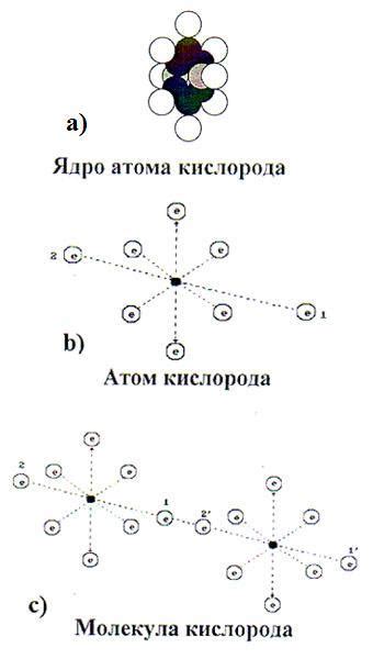 Структура ионов и атомов кислорода