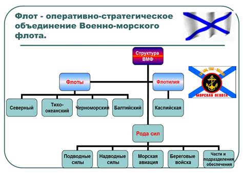 Структура и назначение