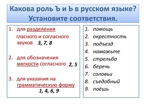 Структура твердого и мягкого в русском