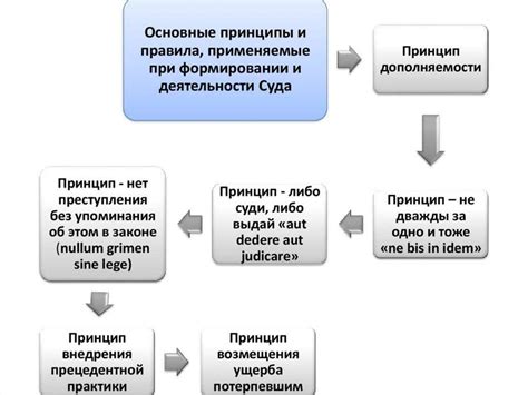 Судебные прецеденты и практика применения законов