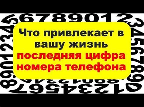 Судьба и номер телефона