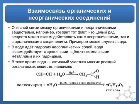 Сущность баз: важнейшие атрибуты веществ с щелочными свойствами