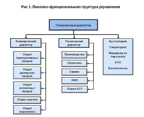 Сущность и структура компании