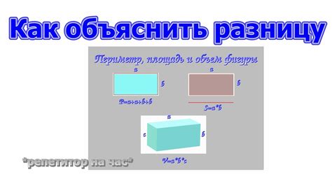 Сущность различия между периметром и площадью