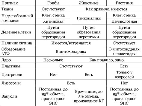 Сходства и различия в составе и дозировке