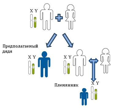 Тайна истинной родственной связи: Необычные параллели между двумя фамилиями