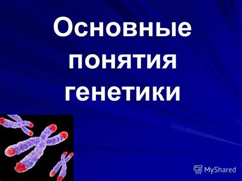 Тема 1: Влияние наследственности и генетики на нашу судьбу