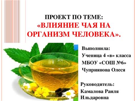 Тема 2: Влияние употребления чая вечером на организм