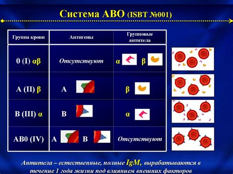 Темперамент и группа крови: научные факты и предположения