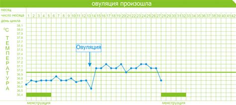 Температурный пик овуляции