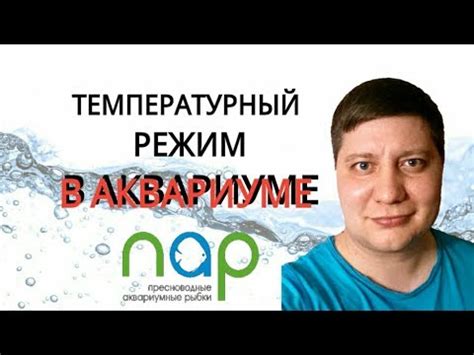 Температурный режим в аквариуме