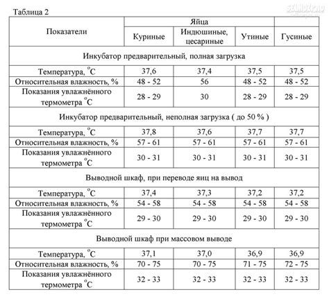 Температурный режим в домашних условиях