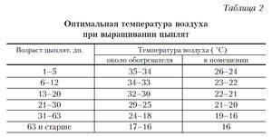 Температурный режим и освещение для птицы