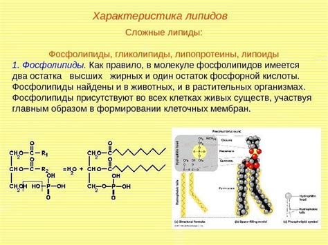 Теплоизоляционные свойства липидов