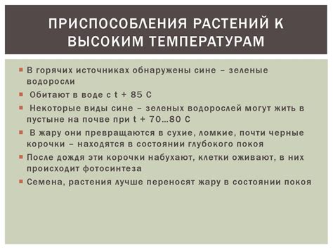 Теплорегуляция: как приспособлены пресмыкающиеся к окружающей температуре