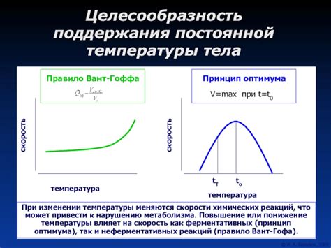 Терморегуляция взаимного теплообмена при изменении температуры