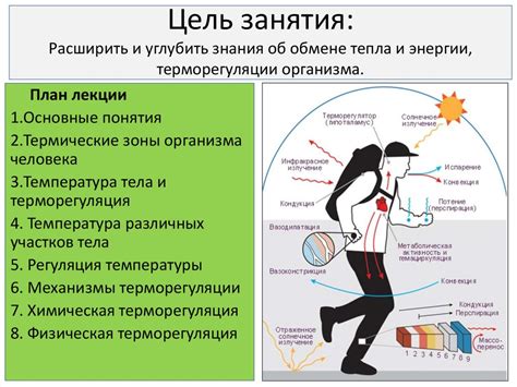 Терморегуляция организмов