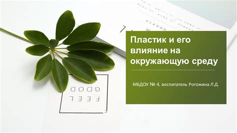 Территориальное поведение котов и его влияние на окружающую среду