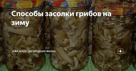 Техника засолки грибов в кулинарии: Мнение о применении алюминиевых кувшинов