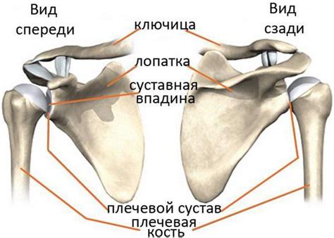 Техники расположения рунного става и их уникальные особенности