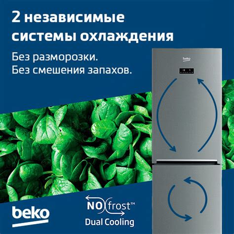 Технология No Frost: новые возможности для сохранения продуктов