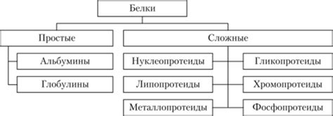 Типы белков: классификация