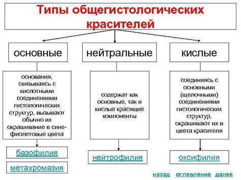 Типы красителей и их особенности