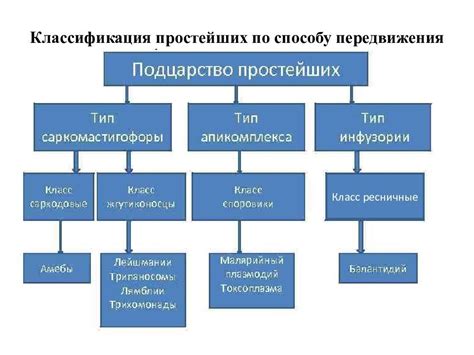 Тип и класс: сравнение и различия