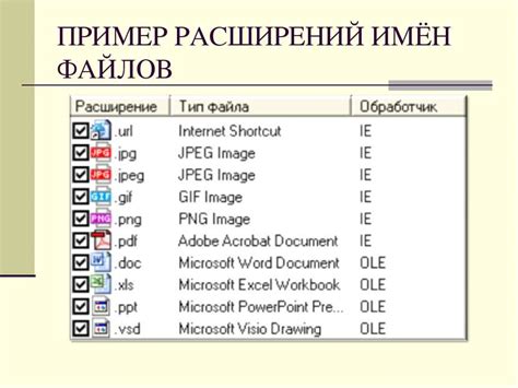 Тип и формат файлов