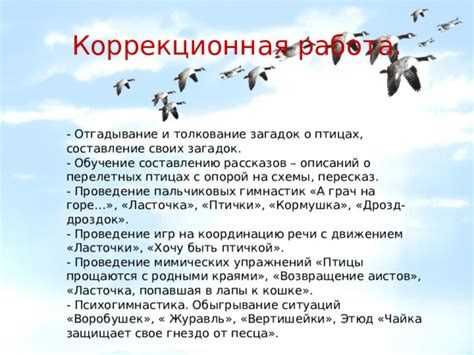 Толкование снов о птицах и птенцах в женской психологии