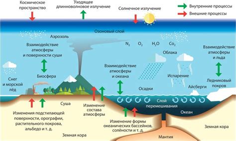 Тонкости обслуживания и особенности атмосферы в Остине