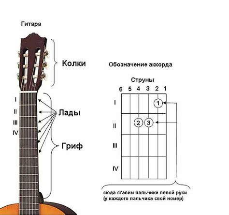 Топ-5 лучших аккордов для новичков