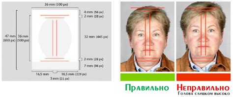 Требования к фотографии