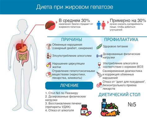 Тюбаж при жировом гепатозе: доступное лечение и эффективные меры профилактики