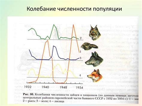 Увеличение численности популяции: ключевой фактор выживания