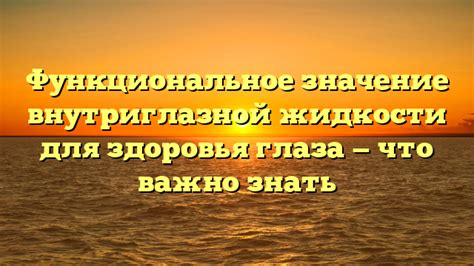 Увлажнение и поддержание гидробаланса в организме: важность правильного приема жидкости