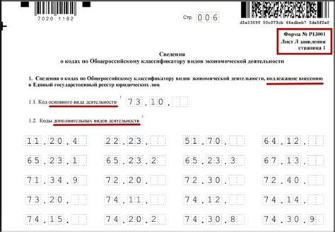 Углубленное рассмотрение первого направления деятельности по классификатору ОКВЭД