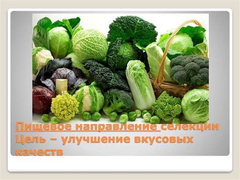 Улучшение вкусовых качеств приготовленной пищи с помощью природного кислого продукта