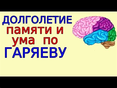 Улучшение памяти и мозговой деятельности с помощью грецких орехов