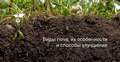 Улучшение питательности почвы