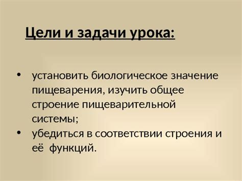 Улучшение функций пищеварения и общее самочувствие